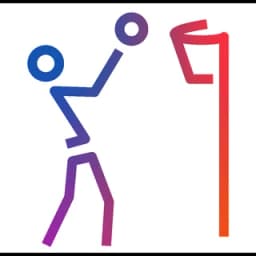 Netball