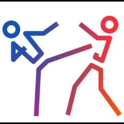 Taekwondo